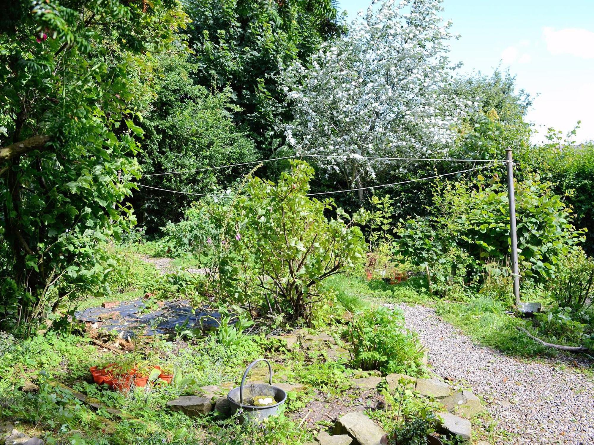 The Cottage Saint Cyrus Extérieur photo
